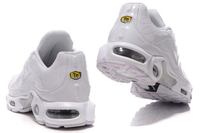 nike requin tn blanche nike requin tn blanche